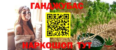 таблы Новодвинск